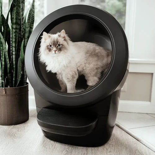 LumiPaws™ Smart Litter Box 4 — The Future of Cat Care