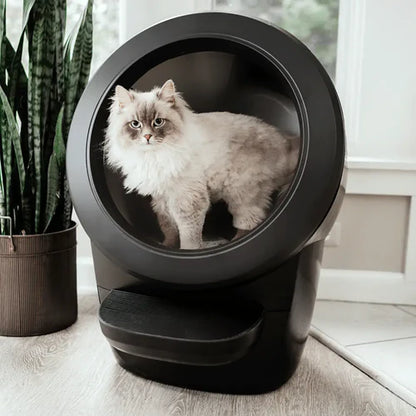 LumiPaws™ Smart Litter Box 4 — The Future of Cat Care